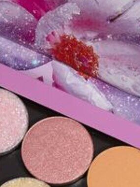 NEW **VERY RARE VAULTED** Colourpop Single Shadow in Sky Way Metallic